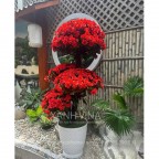 Cây giả trang trí, Hoa đỗ quyên đỏ thân gỗ